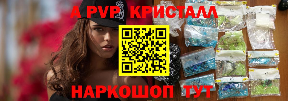 Alfa_PVP СК Волгодонск