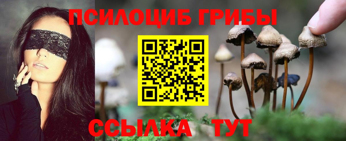 Галлюциногенные грибы Psilocybe  Вход с VPN  Псилоцибиновые грибы прущие грибы  Волгодонск 