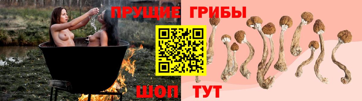 Галлюциногенные грибы мицелий Волгодонск